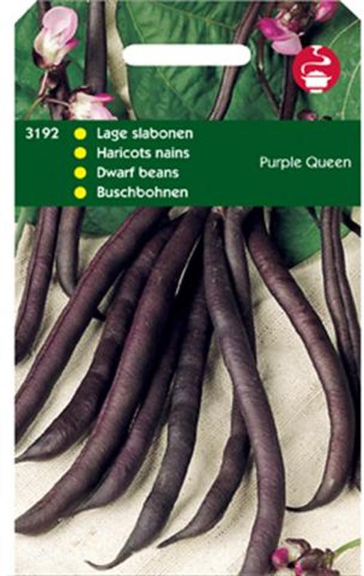 Sperzieboon laag Purple Queen (Phaseolus) 350 zaden HT